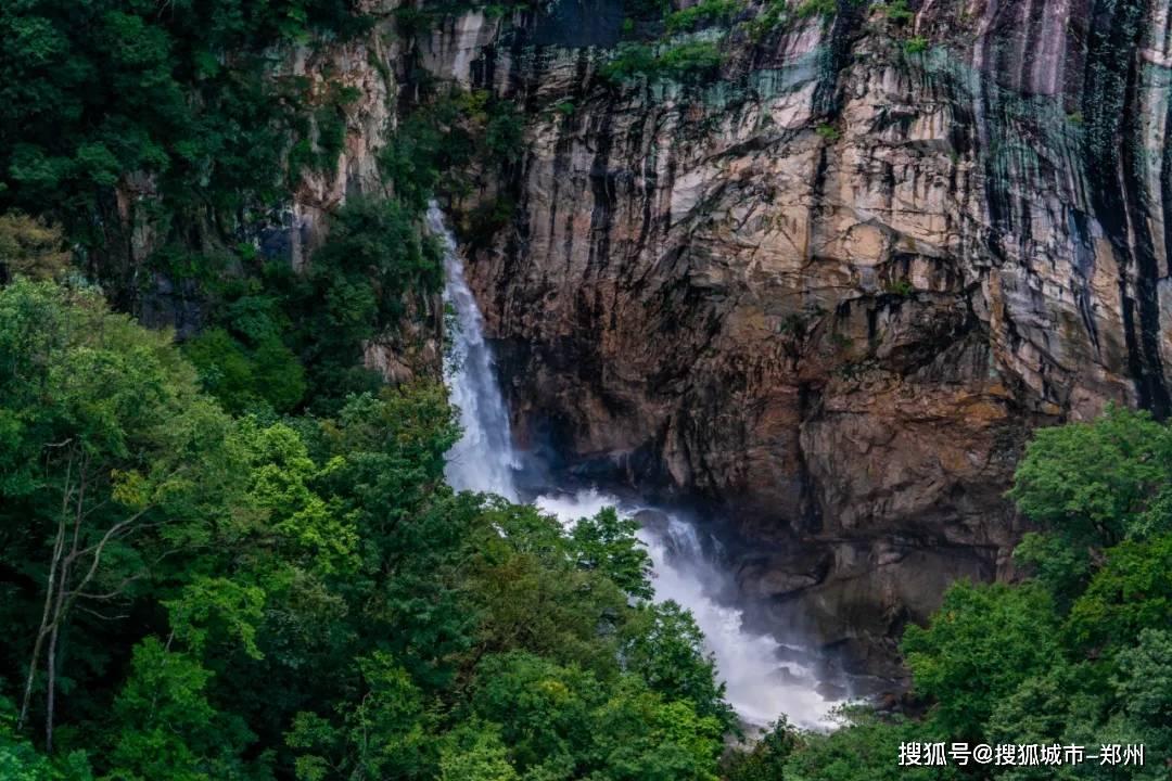 智慧“交易员”